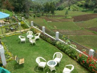 Mount N Mist Hotel Nainital Exterior foto
